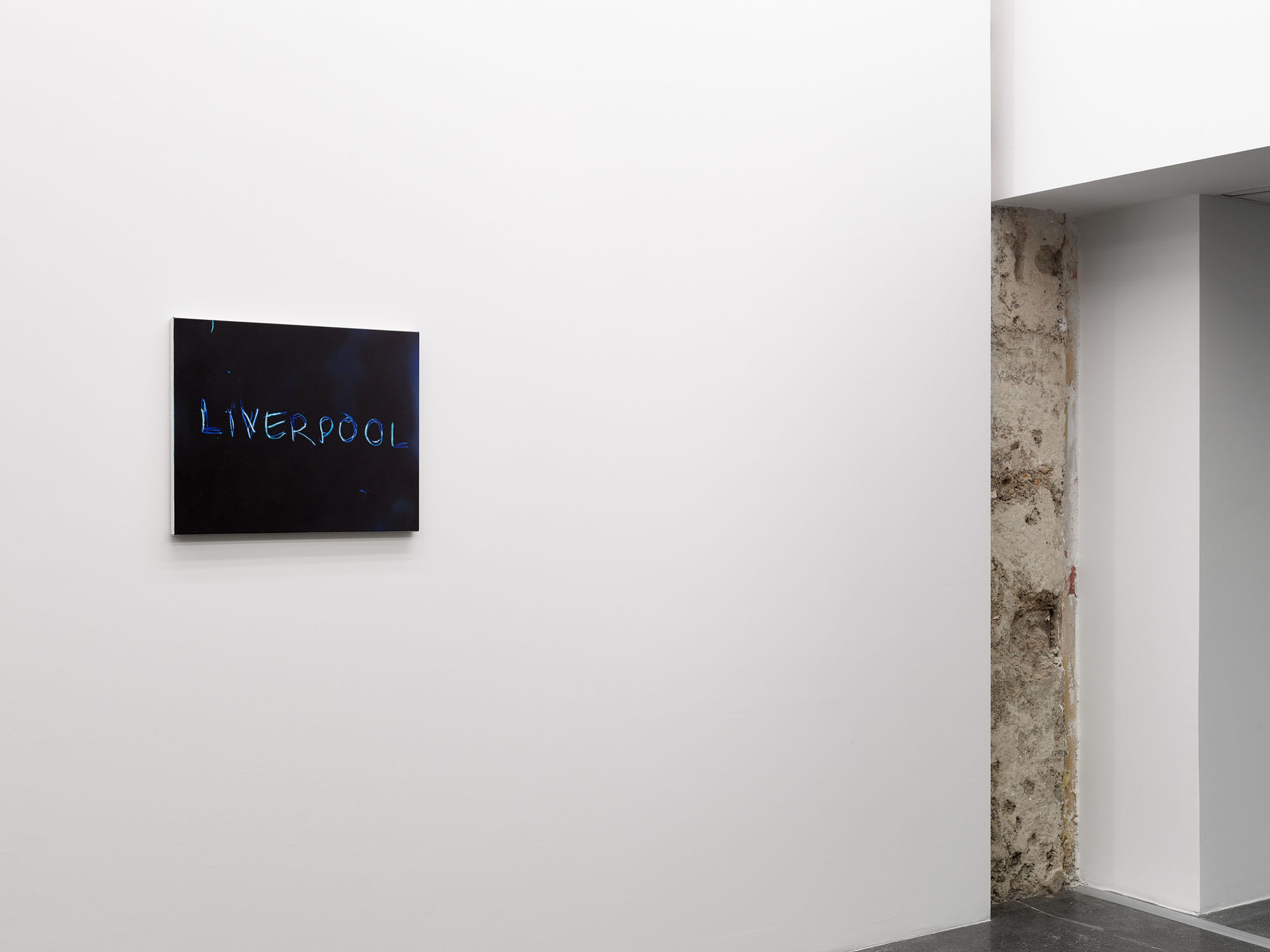 RYAN GANDER - PUSSIES AND PLACES