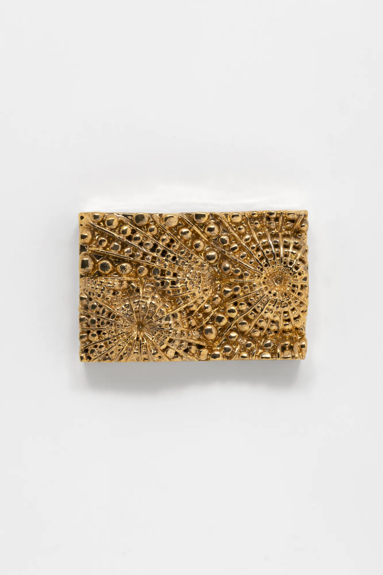 Johan Creten - The Dead Fly