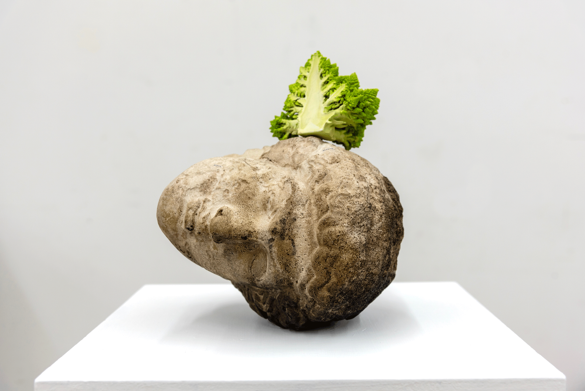 Tony Matelli Head (Romanesco), 2018