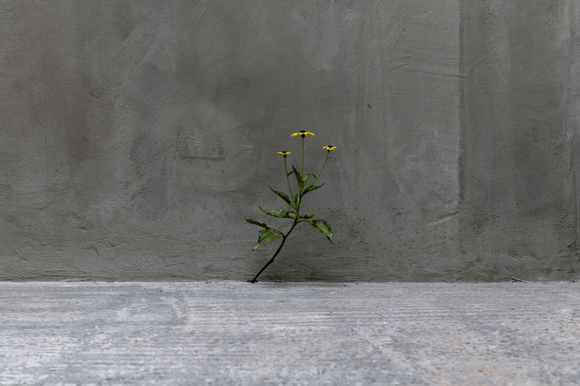 AT THE FACTORY: 10 ARTISTS, 10 INDIVIDUAL PRACTICES