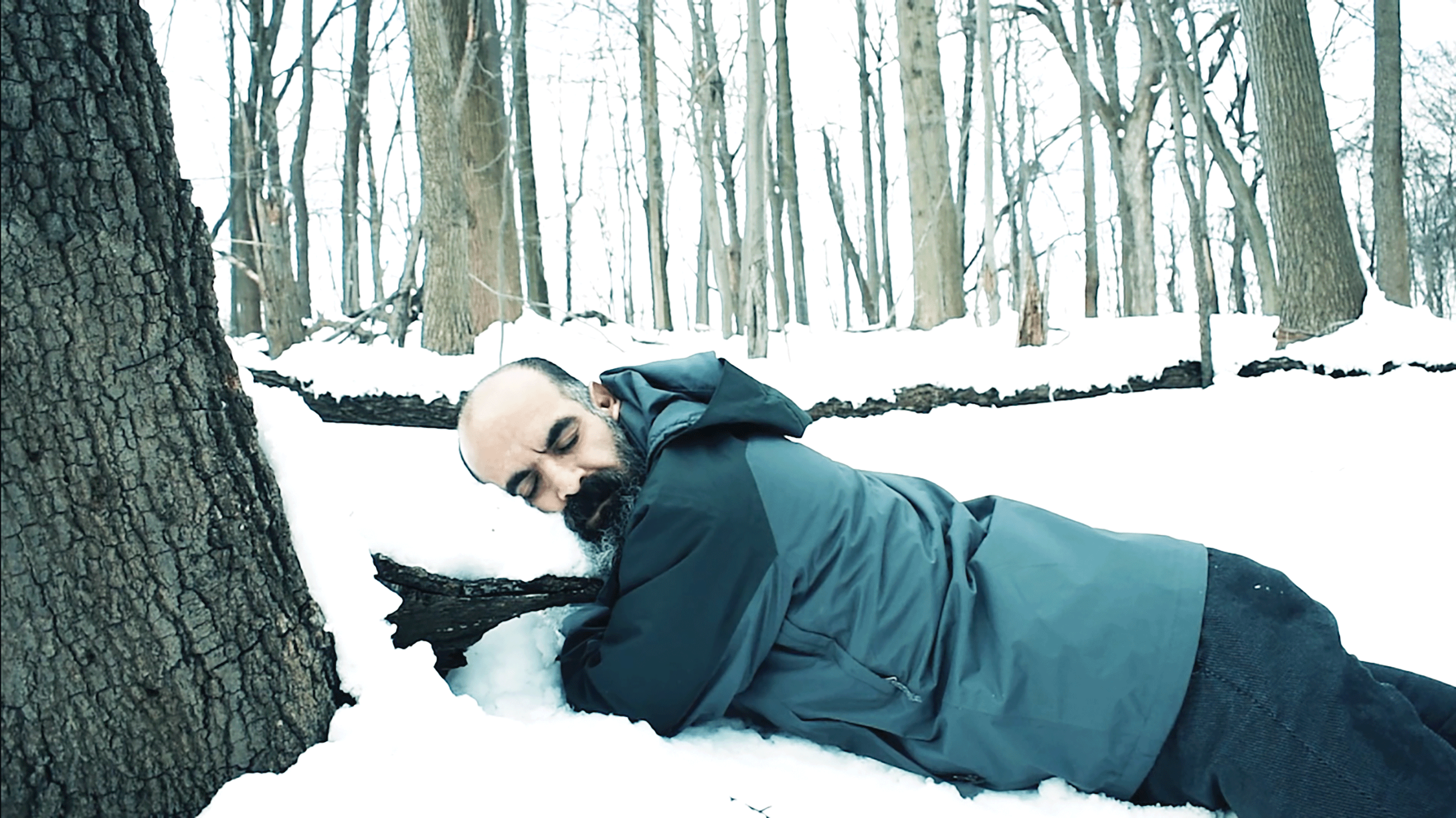 The Day I Saved the Kurds, 2018