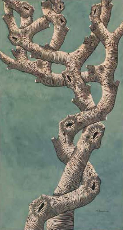 ZOE OUVRIER SUSIE VERDE