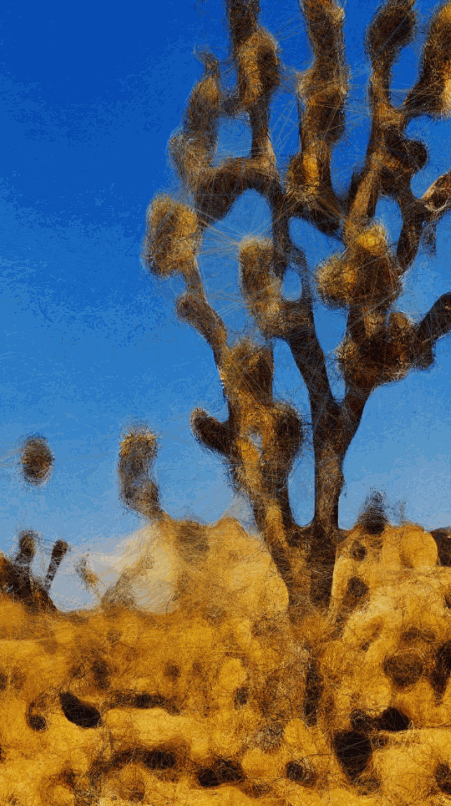 CALIFORNIA LANDSCAPES - GENERATIVE STUDY - B, 2023