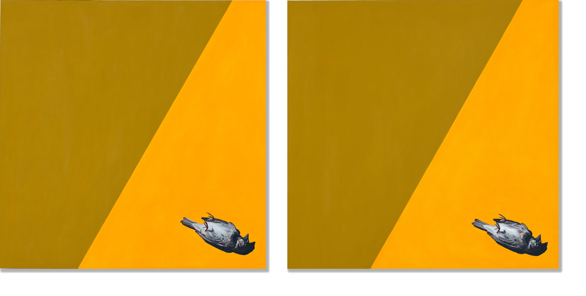 DOUBLE STILL LIFE, 2015