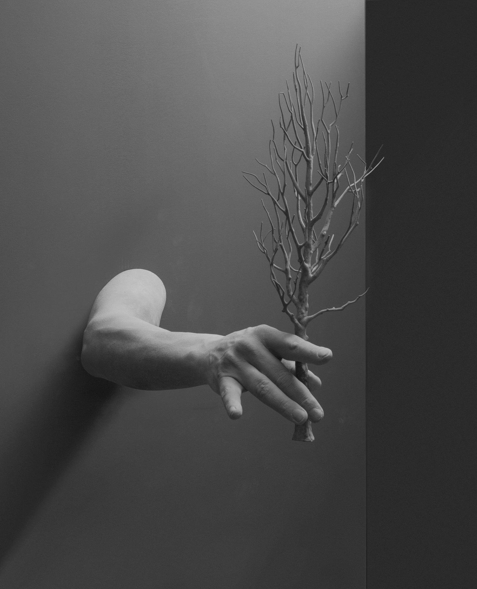 Gesture (tree), 2014