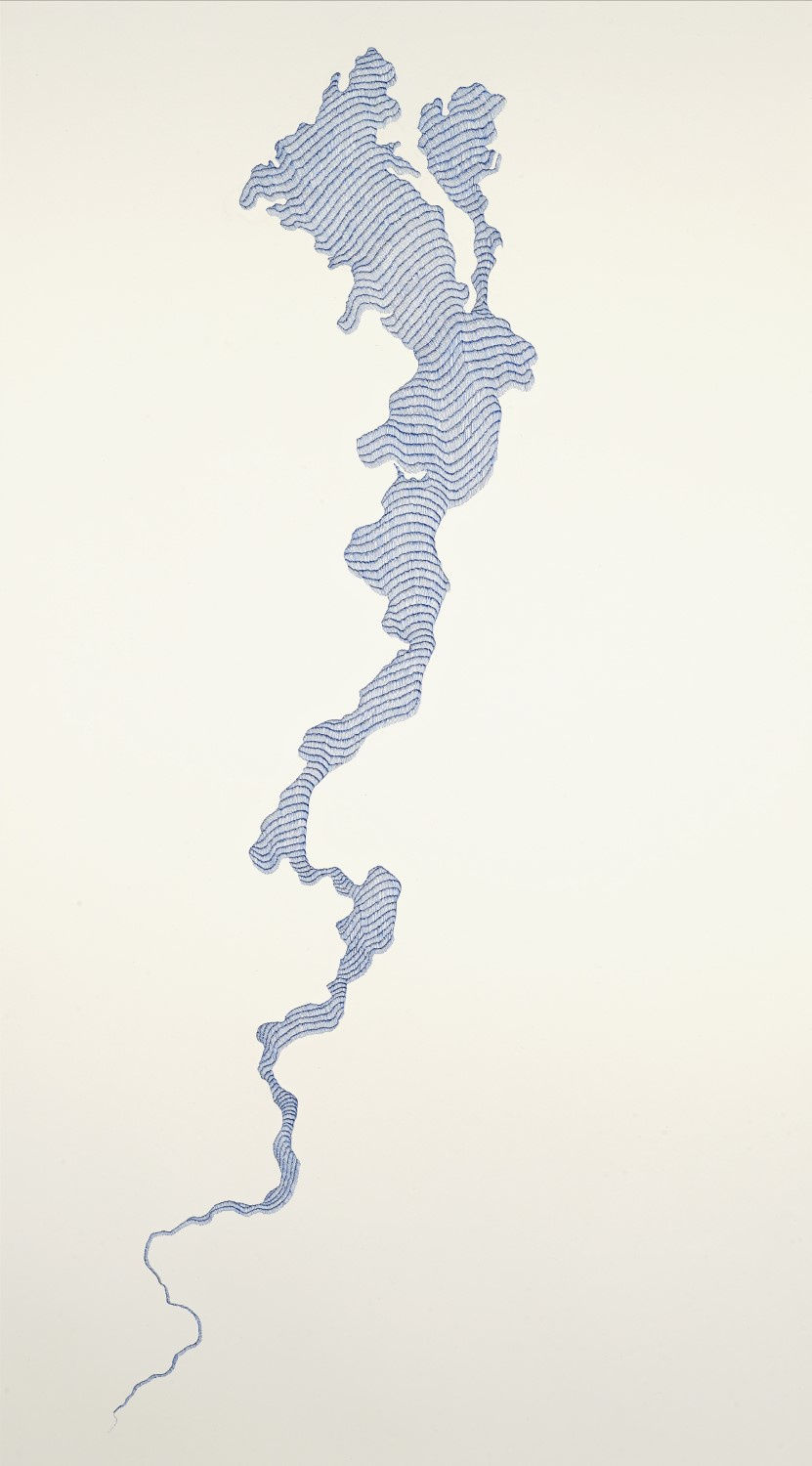 Waqas Khan, Unfinished paths of a tiger , 2017