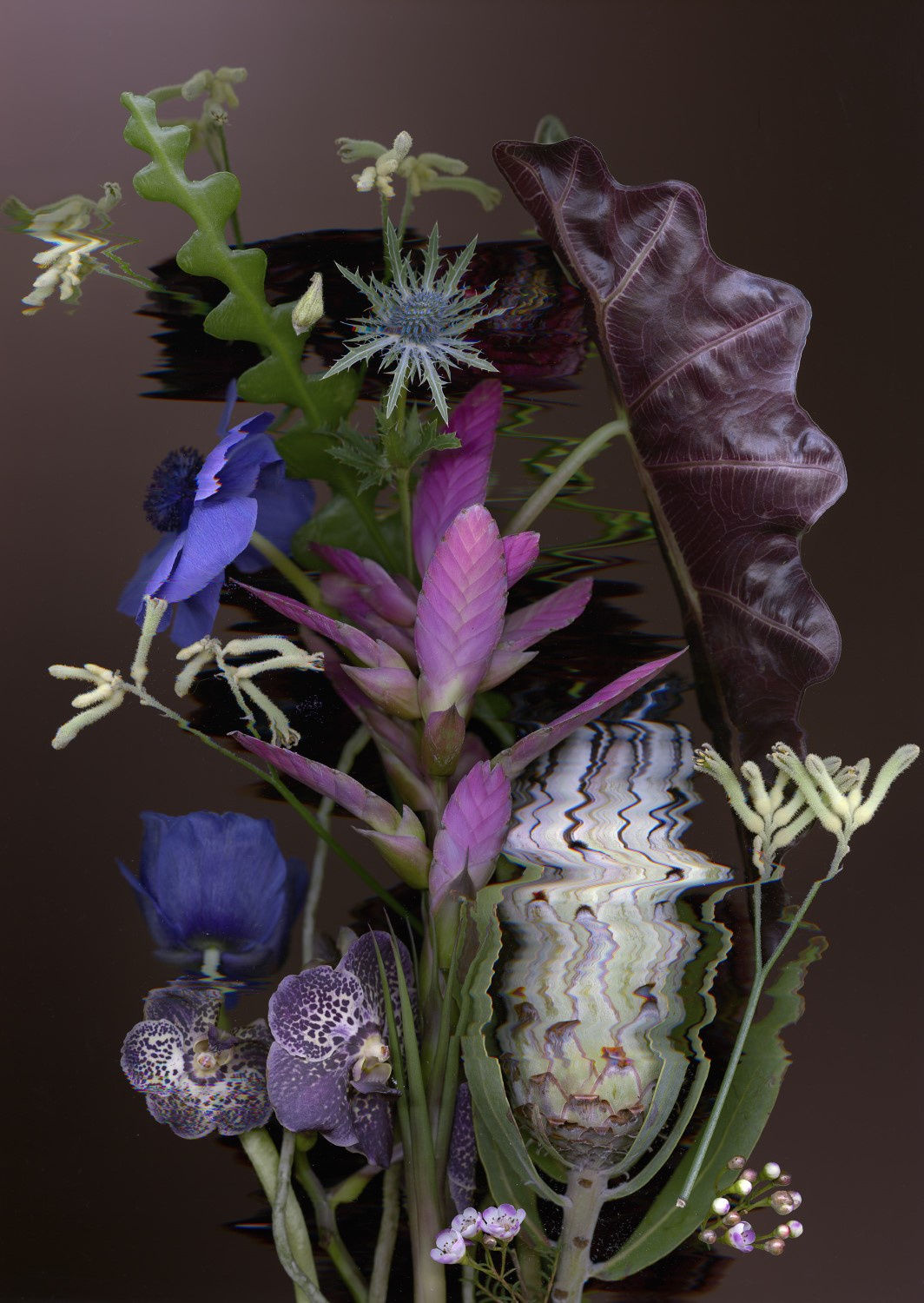 Sandra Kantanen, Distortion 4, 2016