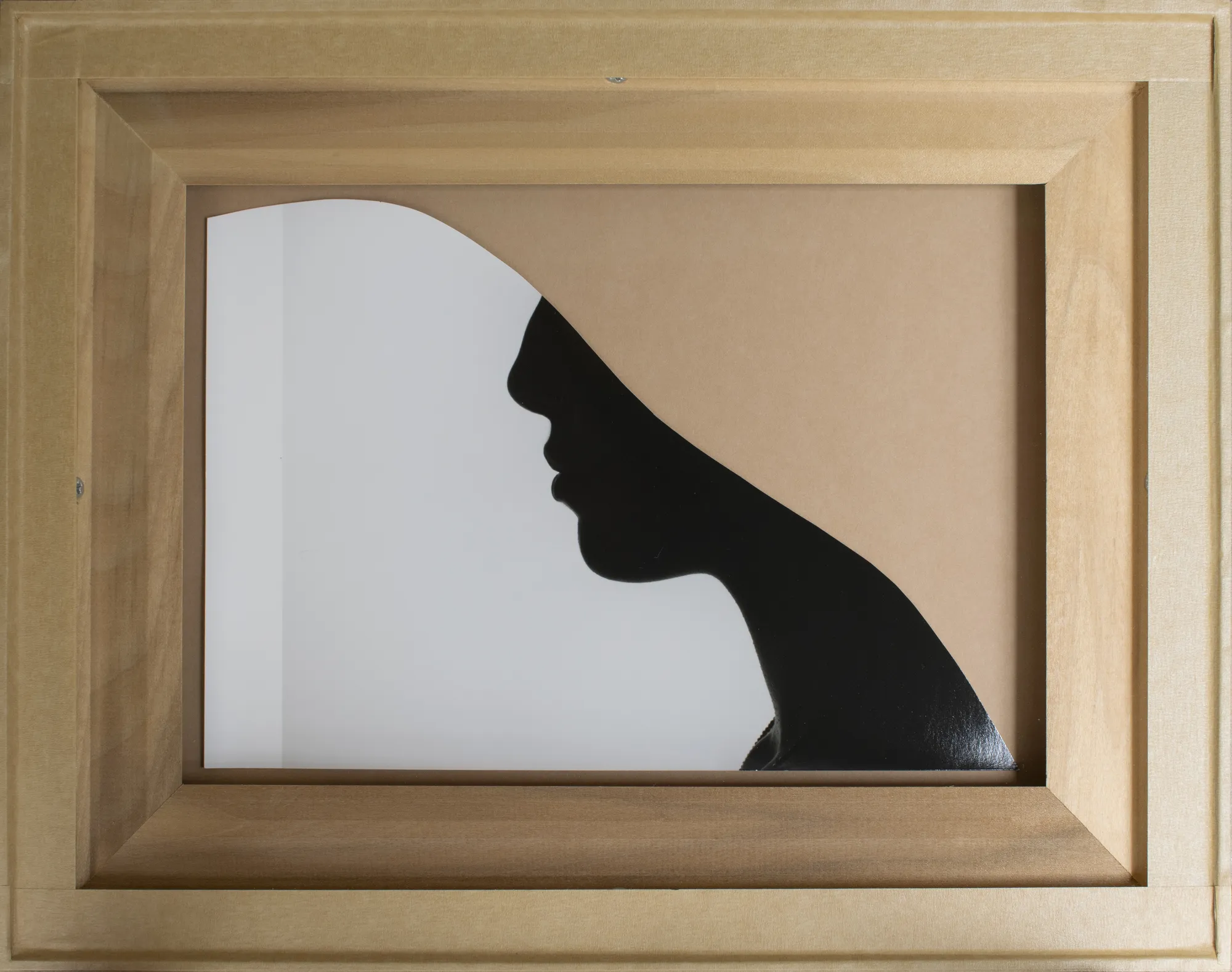 Bettina von Zwehl, The Symptoms, (Cut-out) XI , 2020