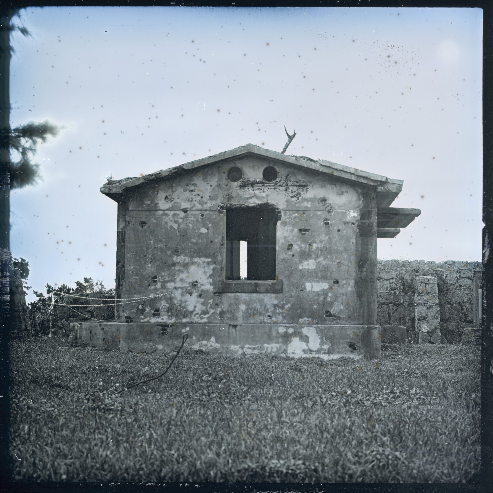 Takashi Arai, Ishigaki , 2020