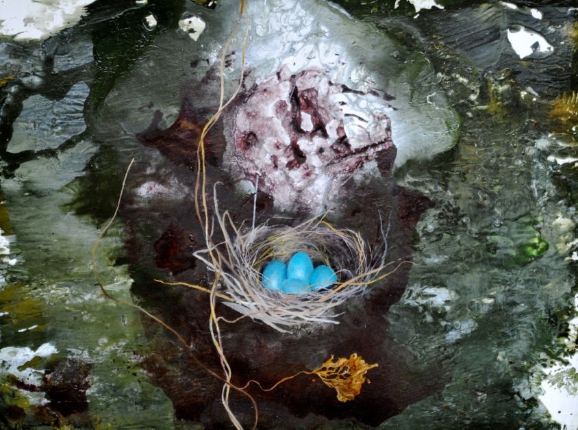 Michael Porter, Vanitas series 27.2.16, 2016