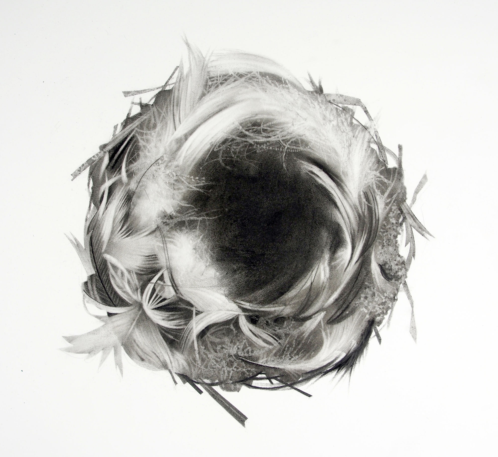 Drawing Now 2022 19 - 22 May Carreau du Temple, Paris (Jonathan Delafield Cook, Nest 2 2022)