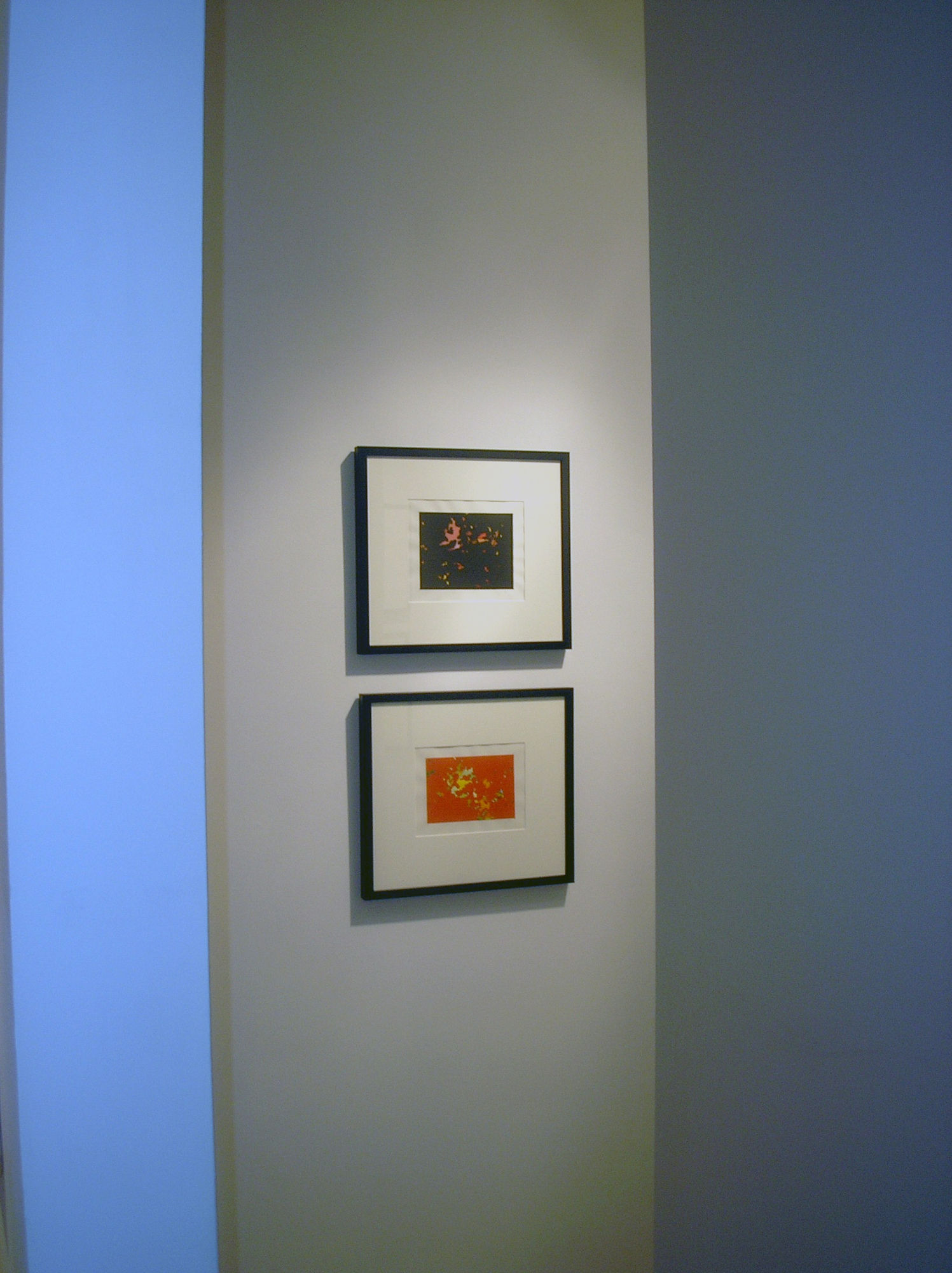 Stephen P. Curry | Constellation