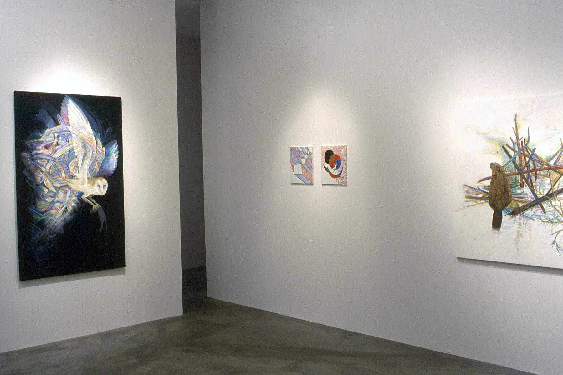 Matthew Offenbacher | Beaver Painting + Stephen Beck | Video Weavings #5