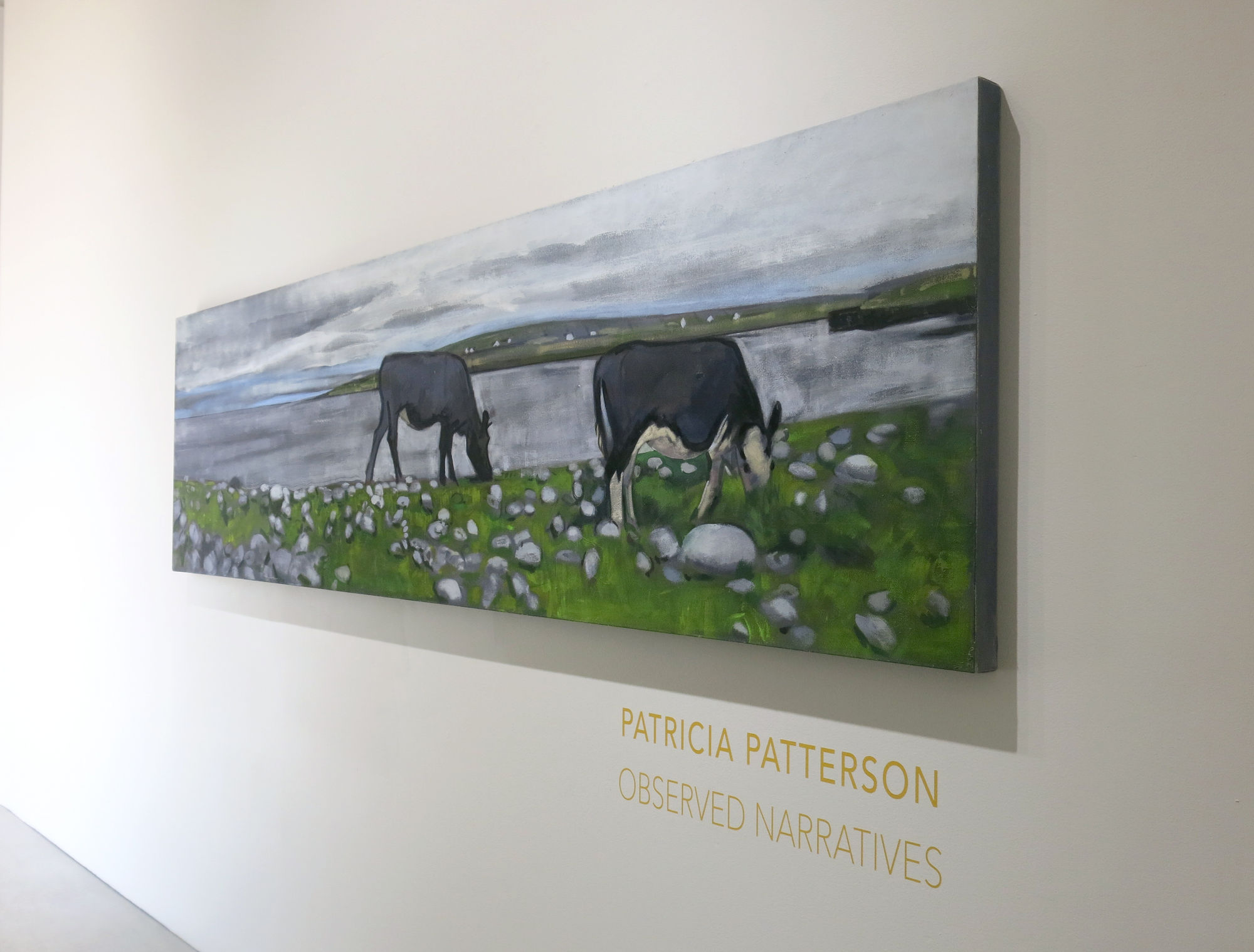 Patricia Patterson | Observed Narratives