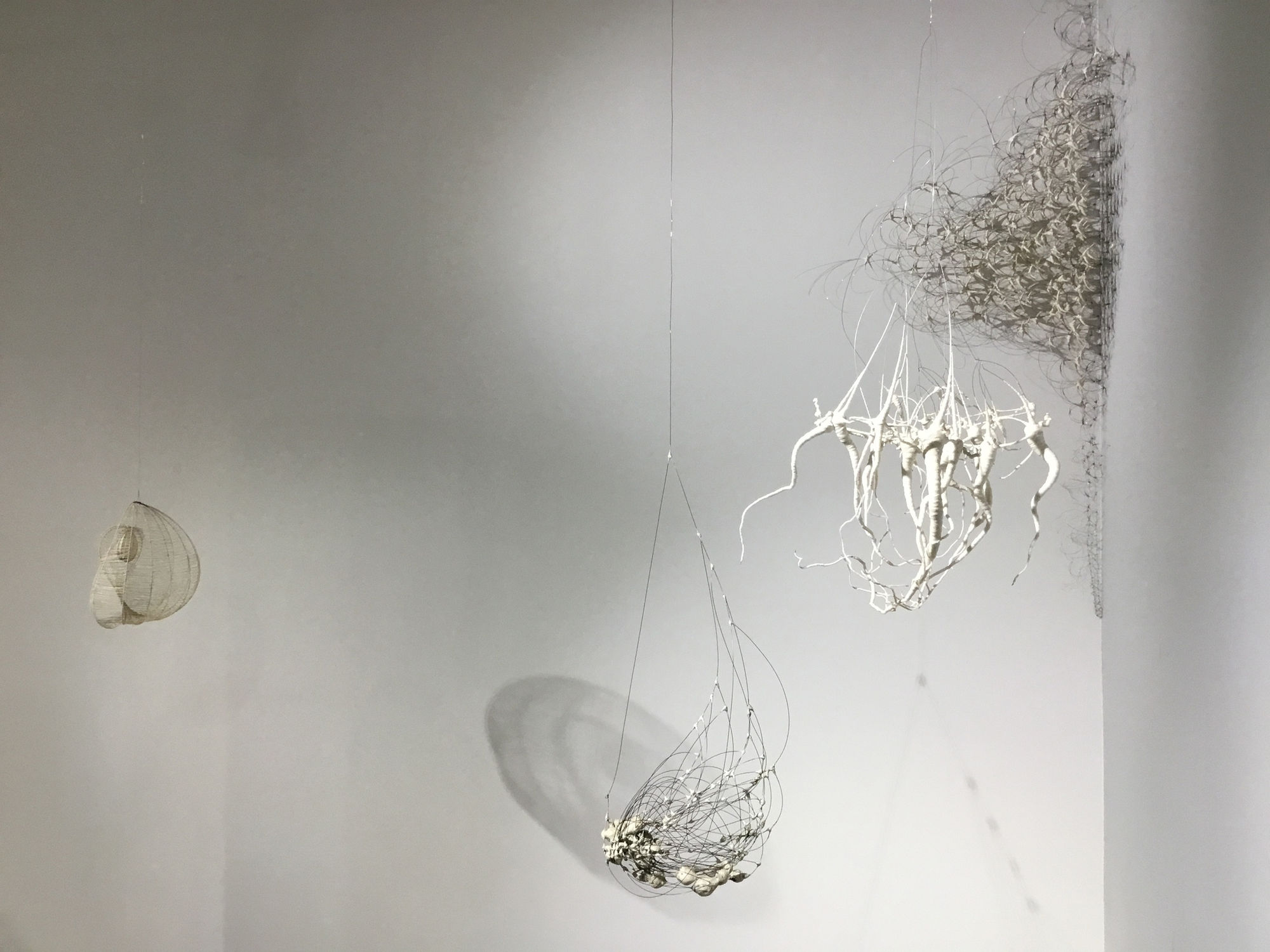 Anne Mudge | Matterings