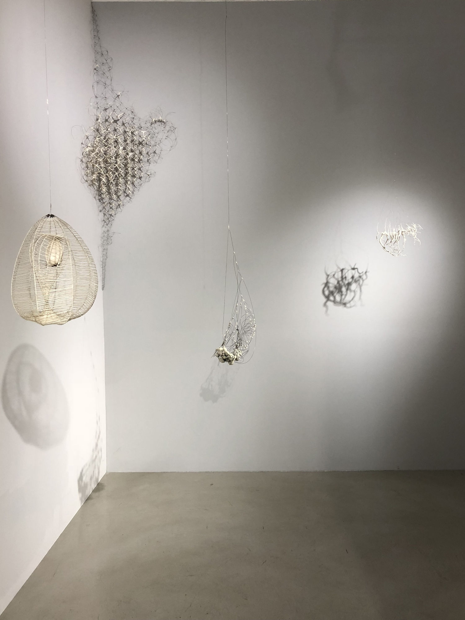 Anne Mudge | Matterings