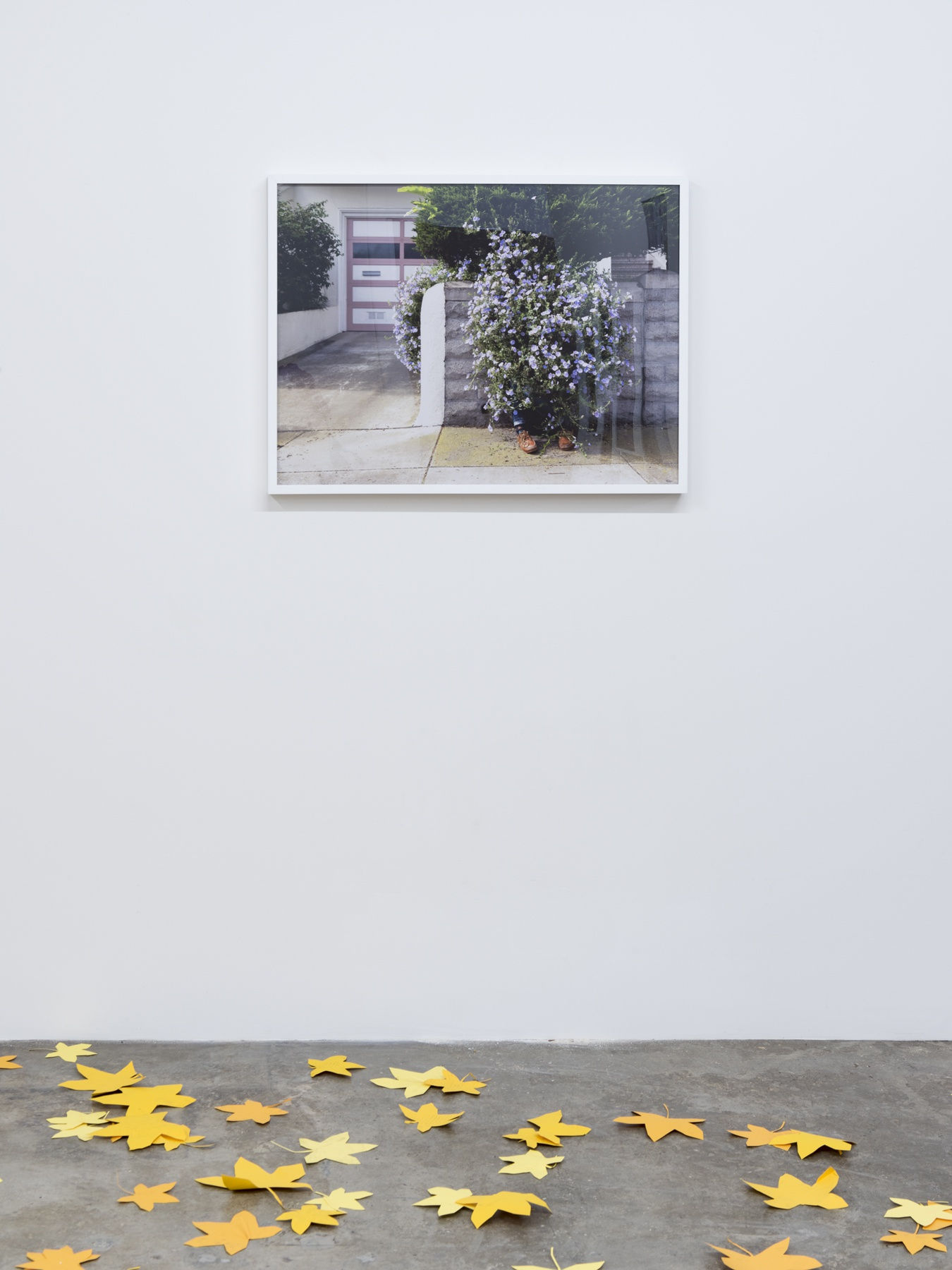 Lee Materazzi | PLaY