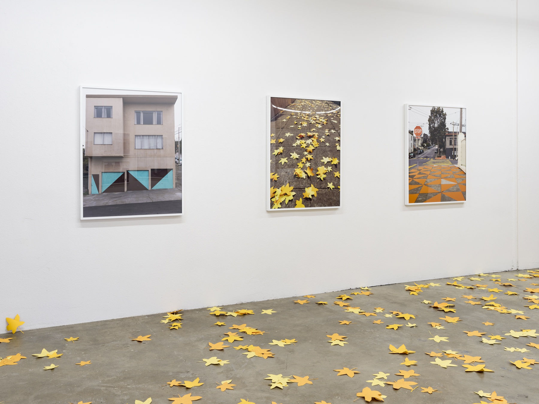 Lee Materazzi | PLaY