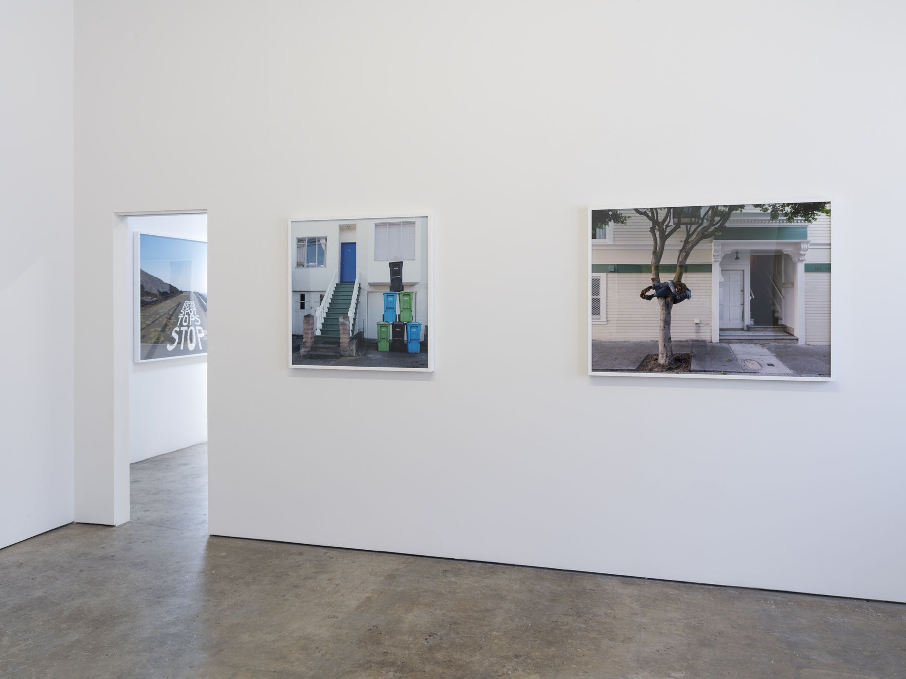 Lee Materazzi | PLaY