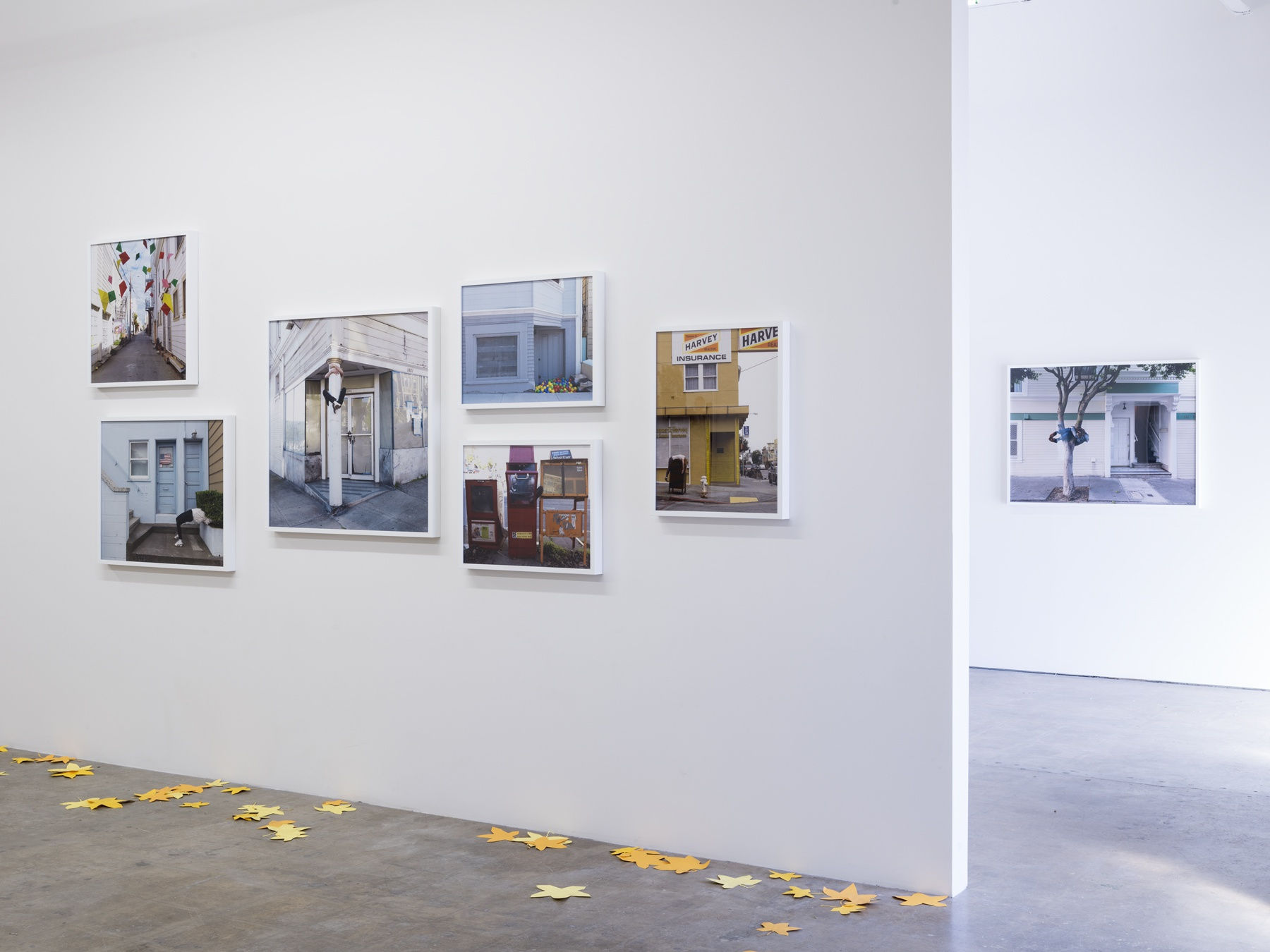 Lee Materazzi | PLaY