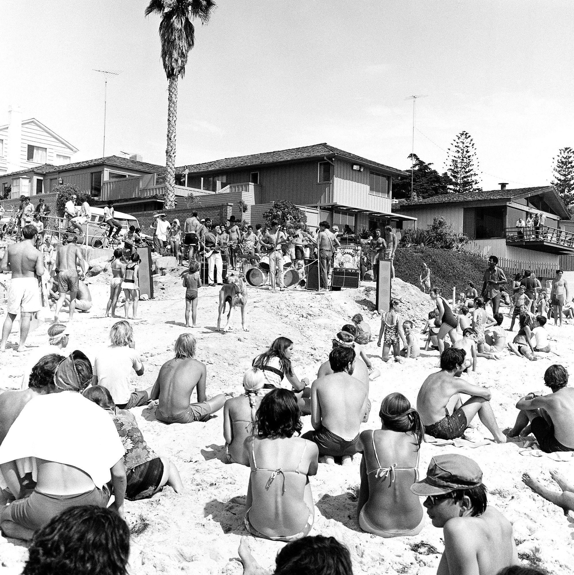 Roy Porello | Pacific Portraits