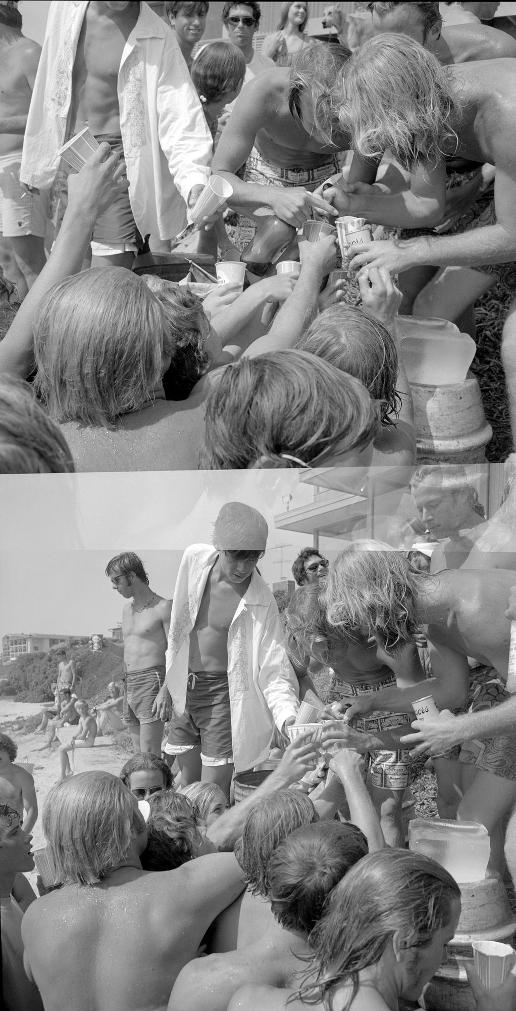 Roy Porello | Pacific Portraits