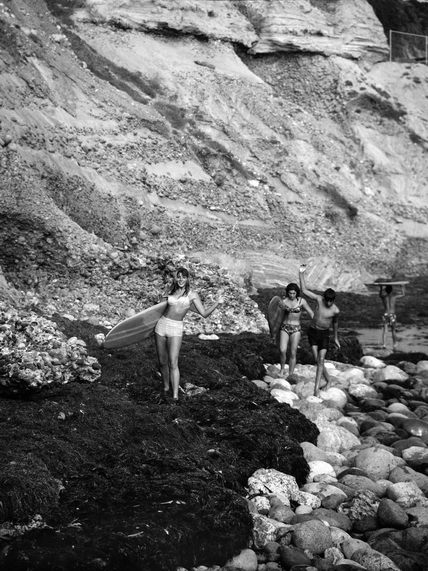 Roy Porello | Pacific Portraits