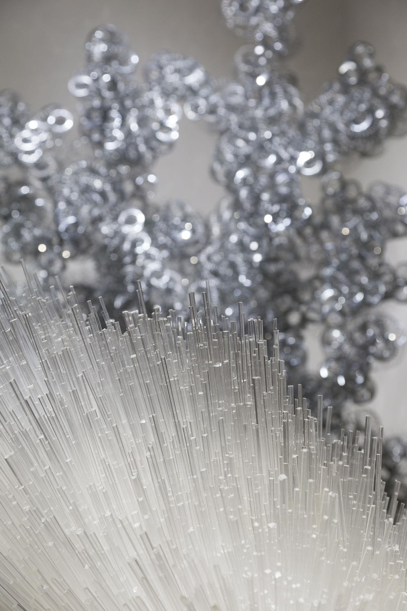 Tara Donovan | Slinkys