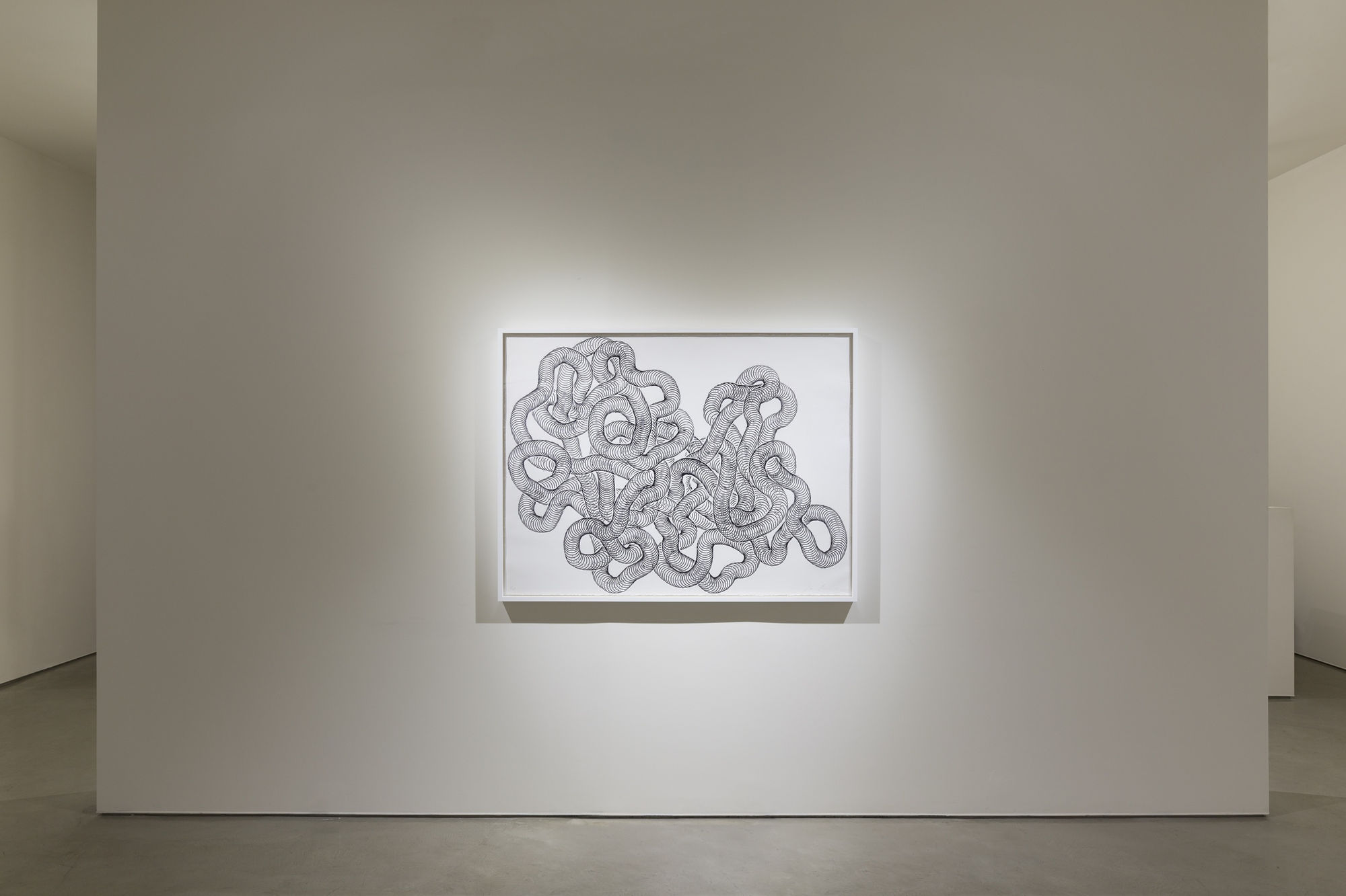 Tara Donovan | Slinkys