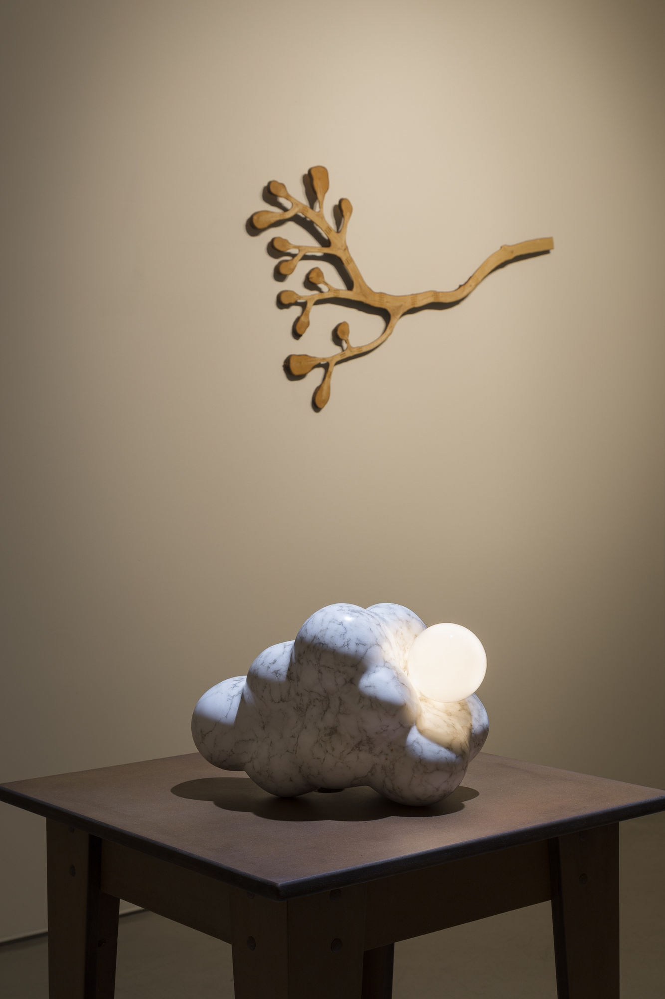 Roman de Salvo | Lightening