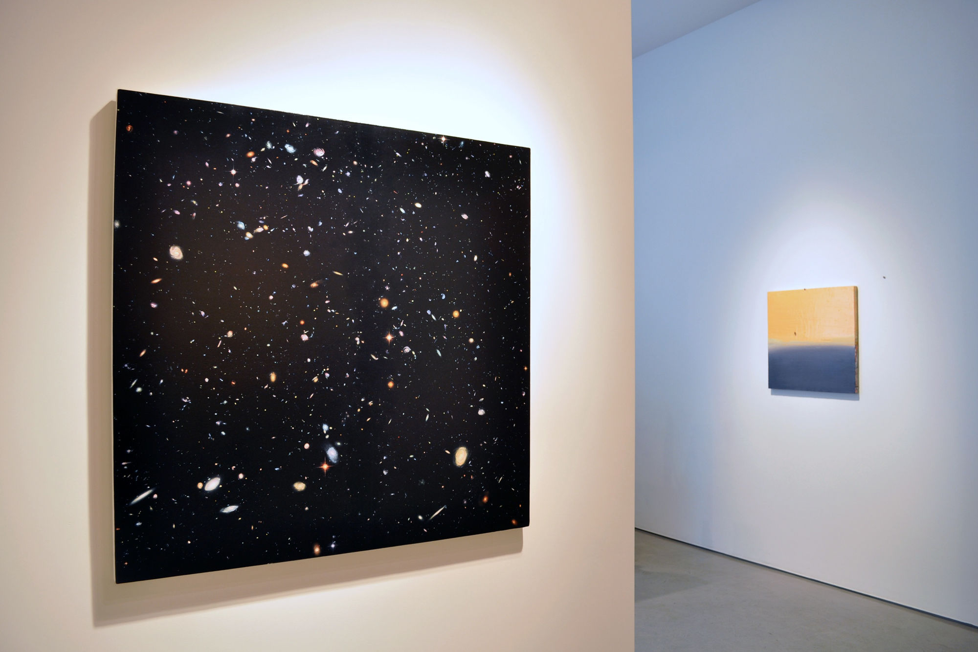 DISSECTING NATURE | Group Exhibition