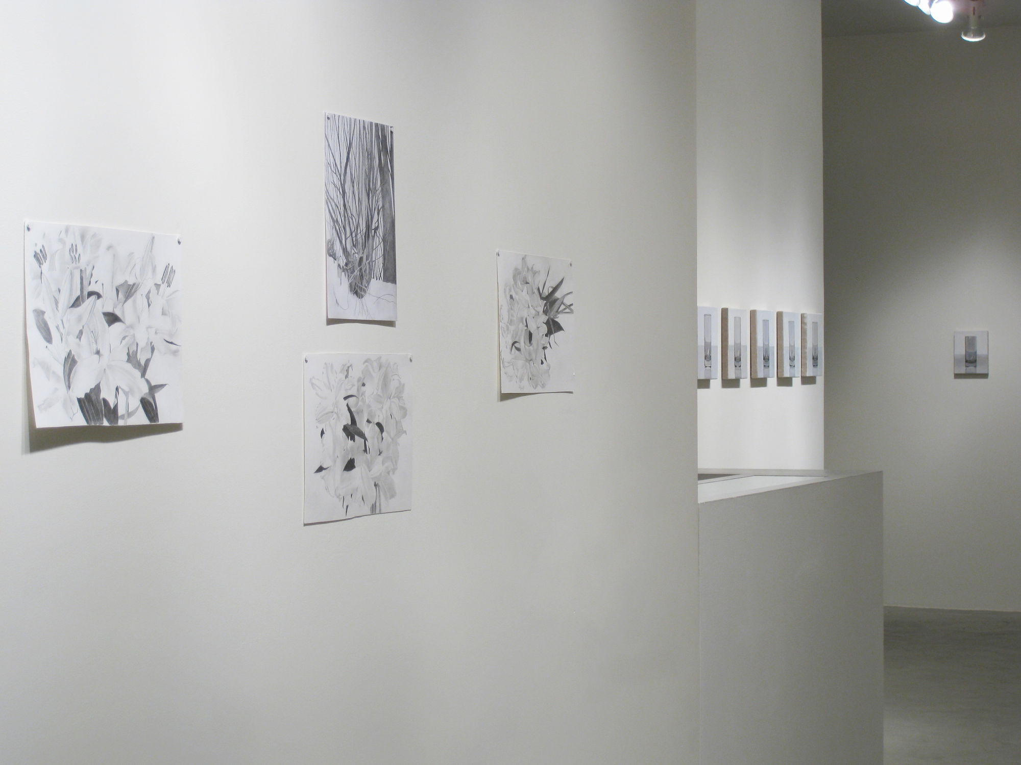 Peter Dreher | Drawings and Paintings