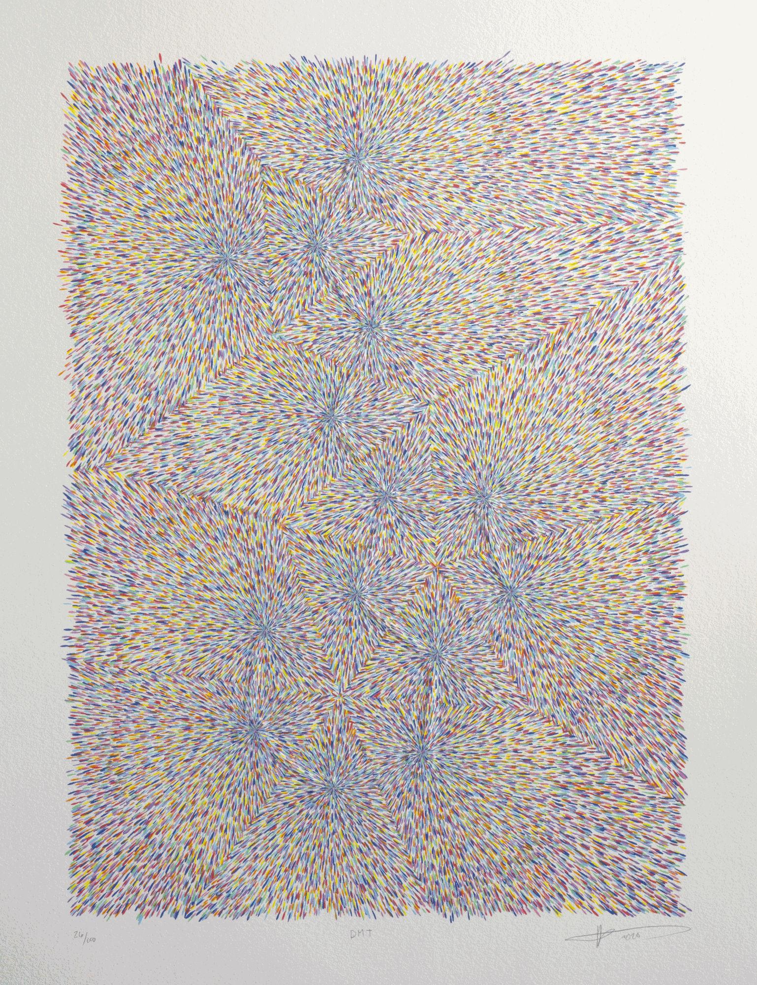 Kelsey Brookes, DMT, 2020