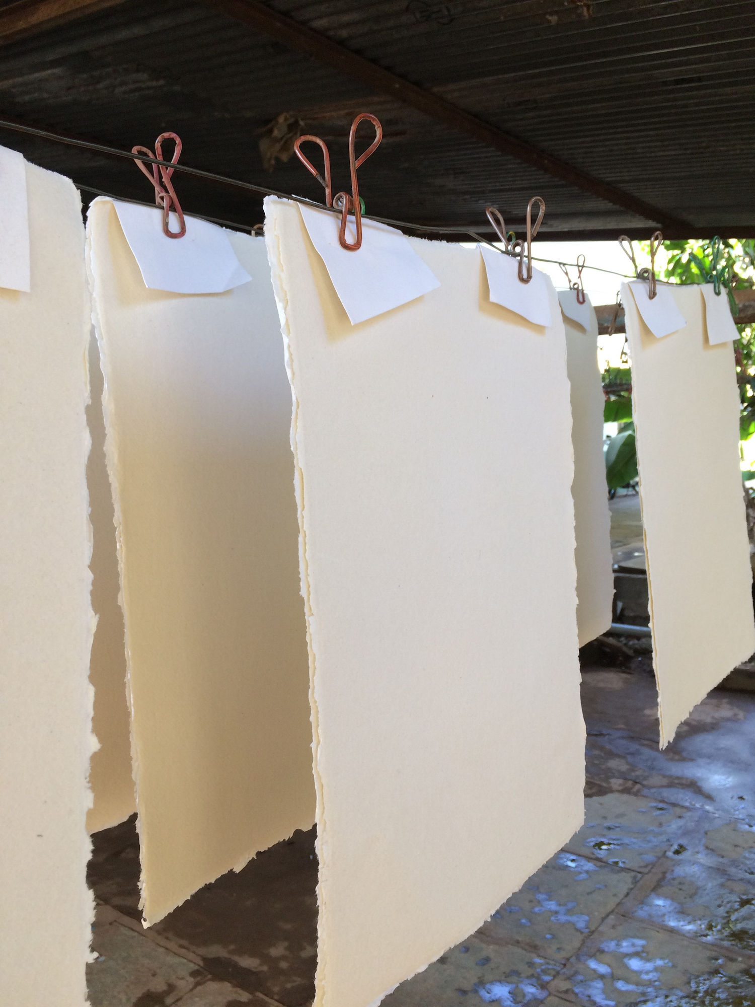 Barbara Macfarlane, In Studio