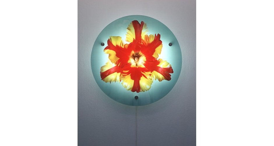 Helen CHADWICKBilly Bud, 1994