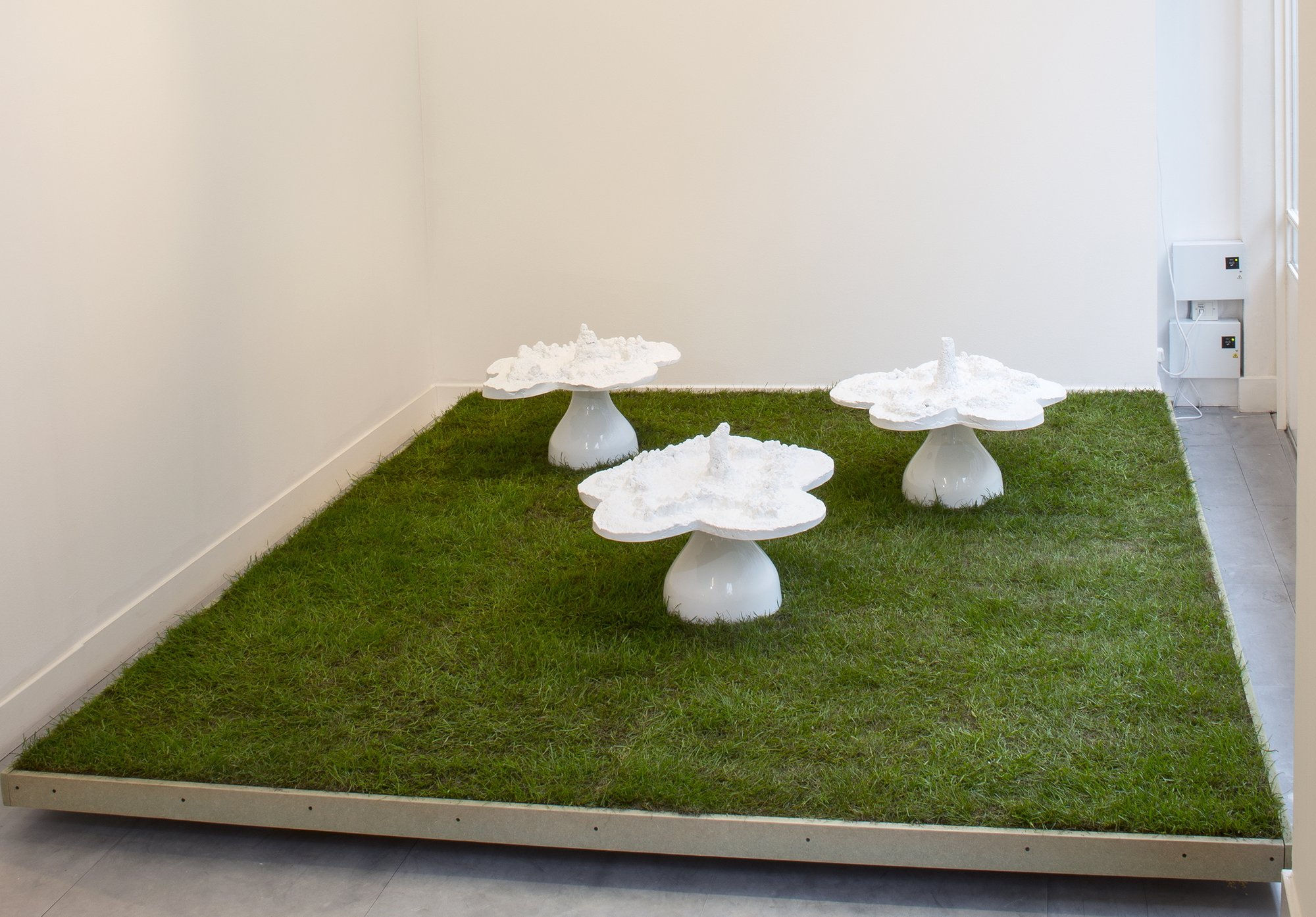Helen CHADWICK Piss Flowers, 1991-92