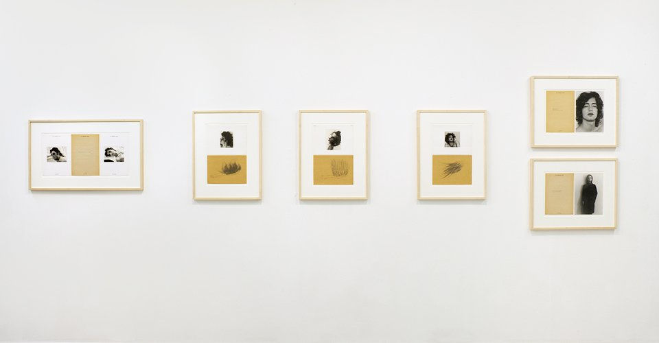 TRANSFORMER: Aspects of Travesty