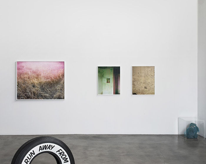 Redheaded Peckerwood