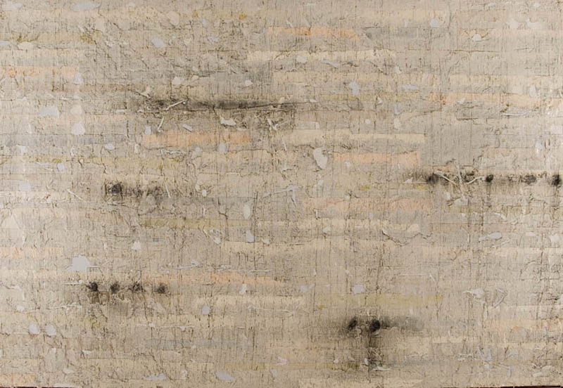 memoria difusa, 2011