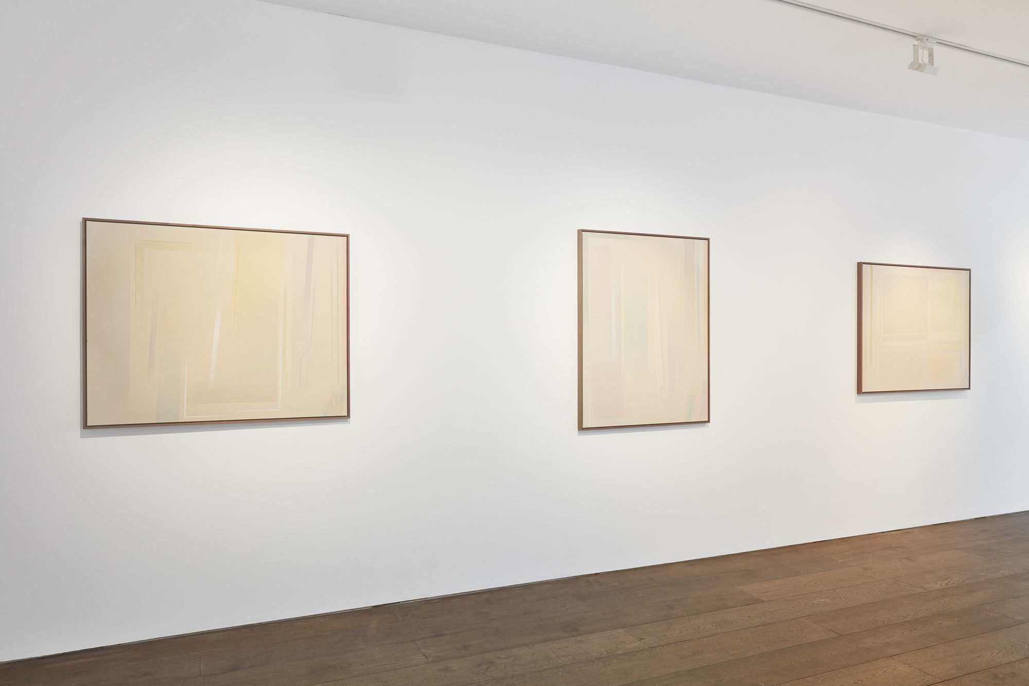 Riccardo Guarneri & Qingzhen Han