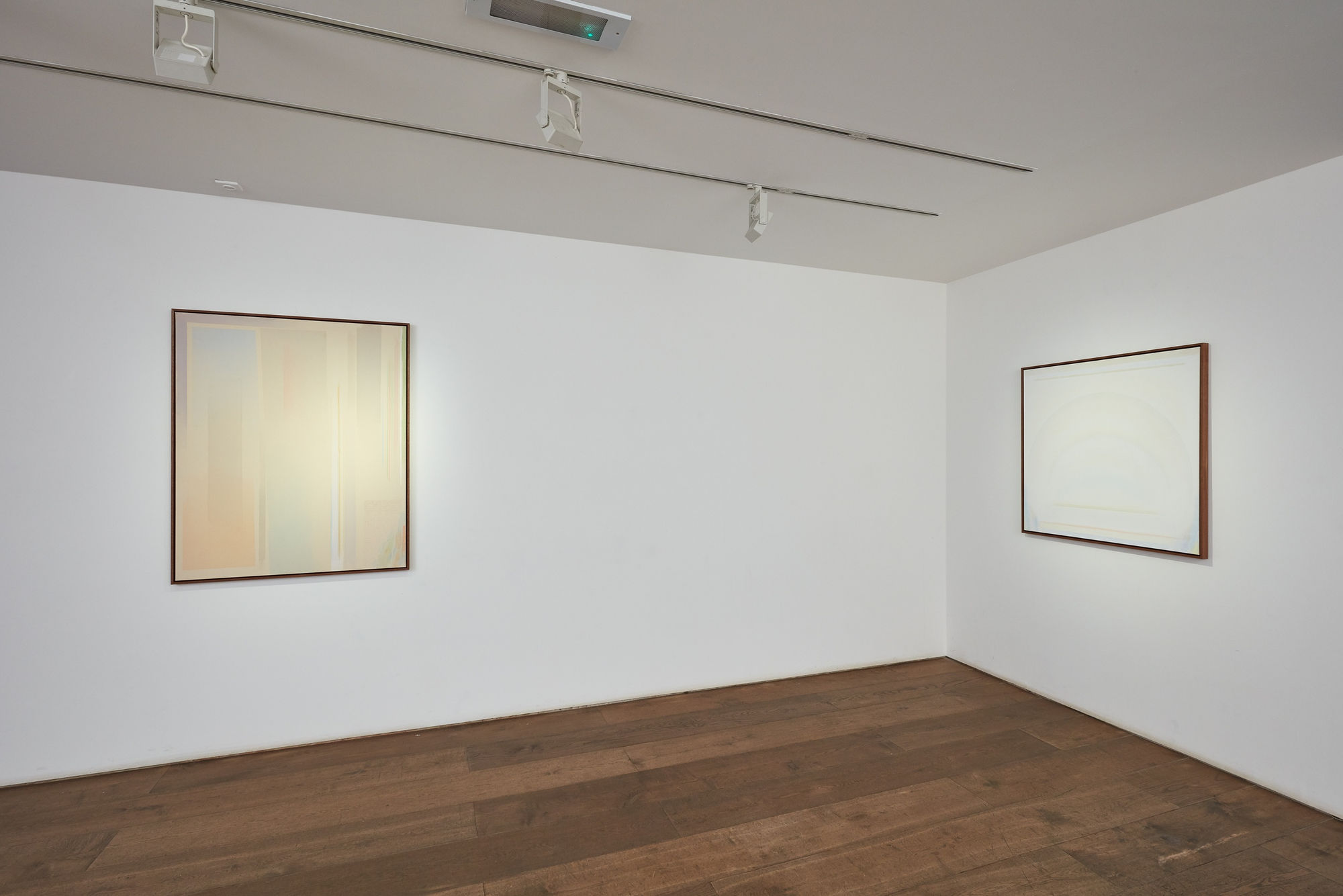 Riccardo Guarneri & Qingzhen Han