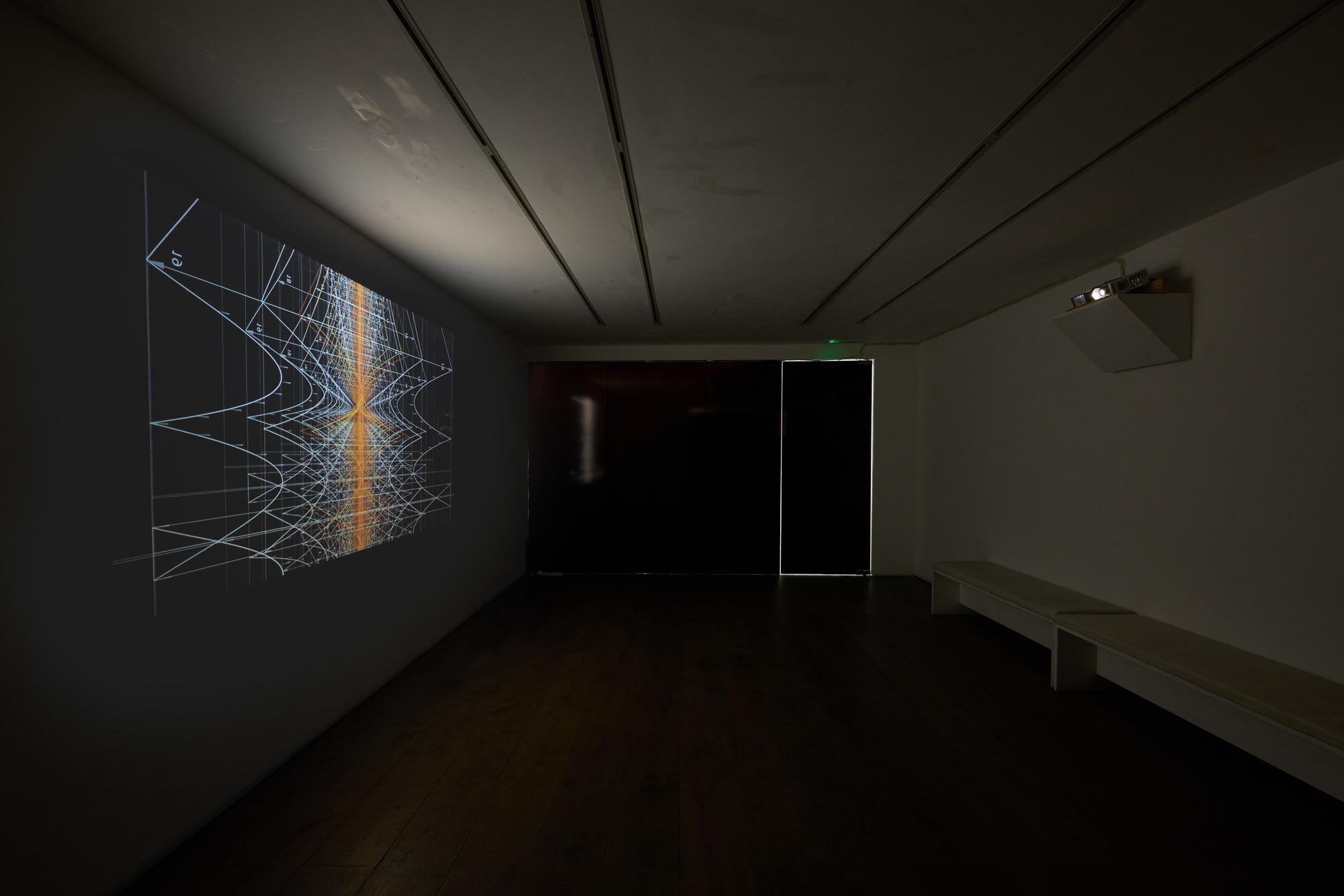 Rivas & Wloch | Cinética de la manifestación