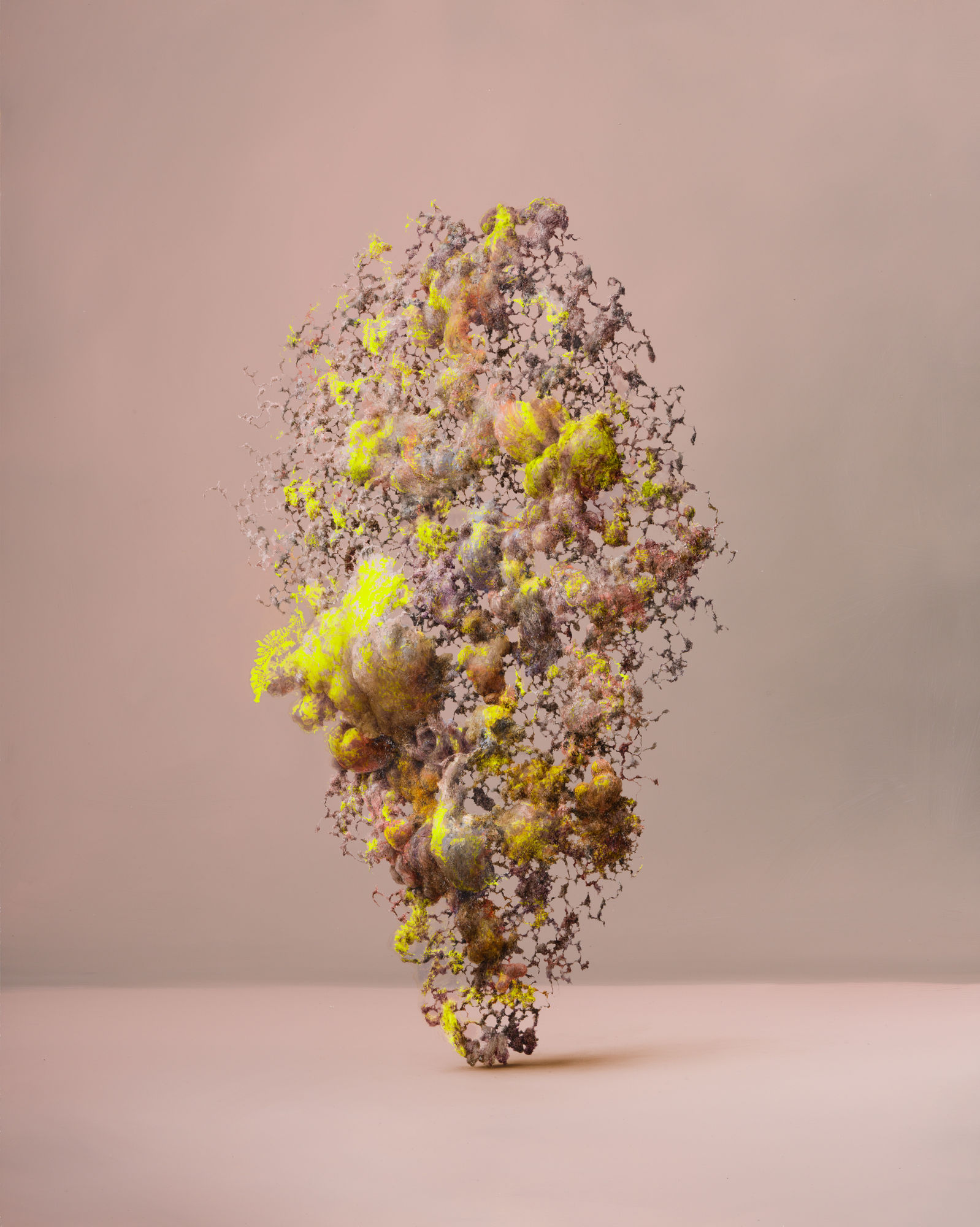 Enrico Minguzzi Uno, 2025