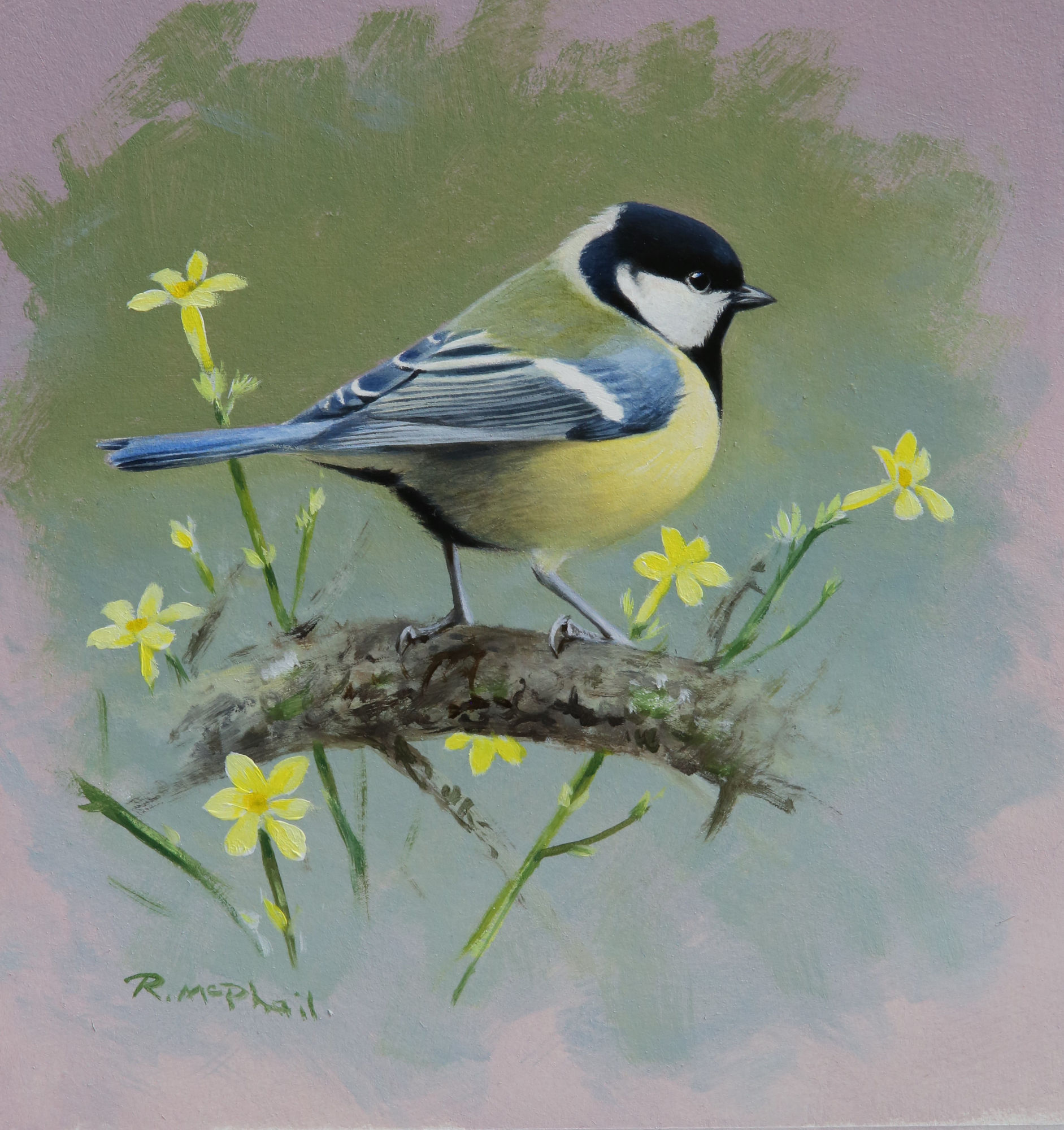 Rodger McPhail, Great tit