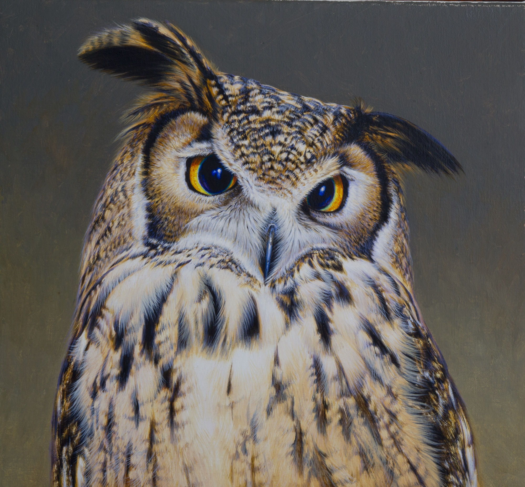 David Ord Kerr, Indian Eagle Owl
