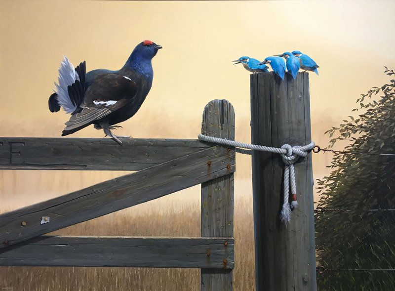 Gordon Mitchell RSA, Grouse