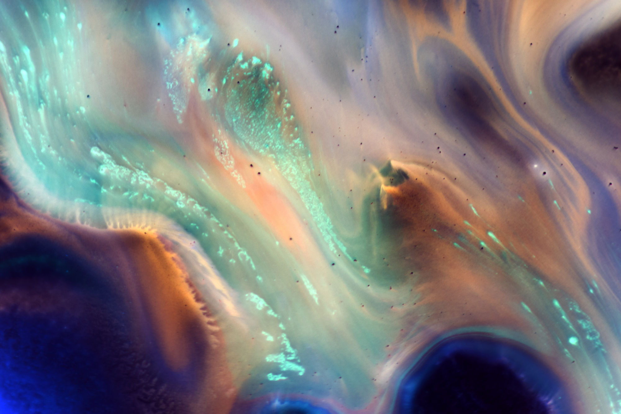 Lucas Battich, Colour Suite, 2014, Digital Photography