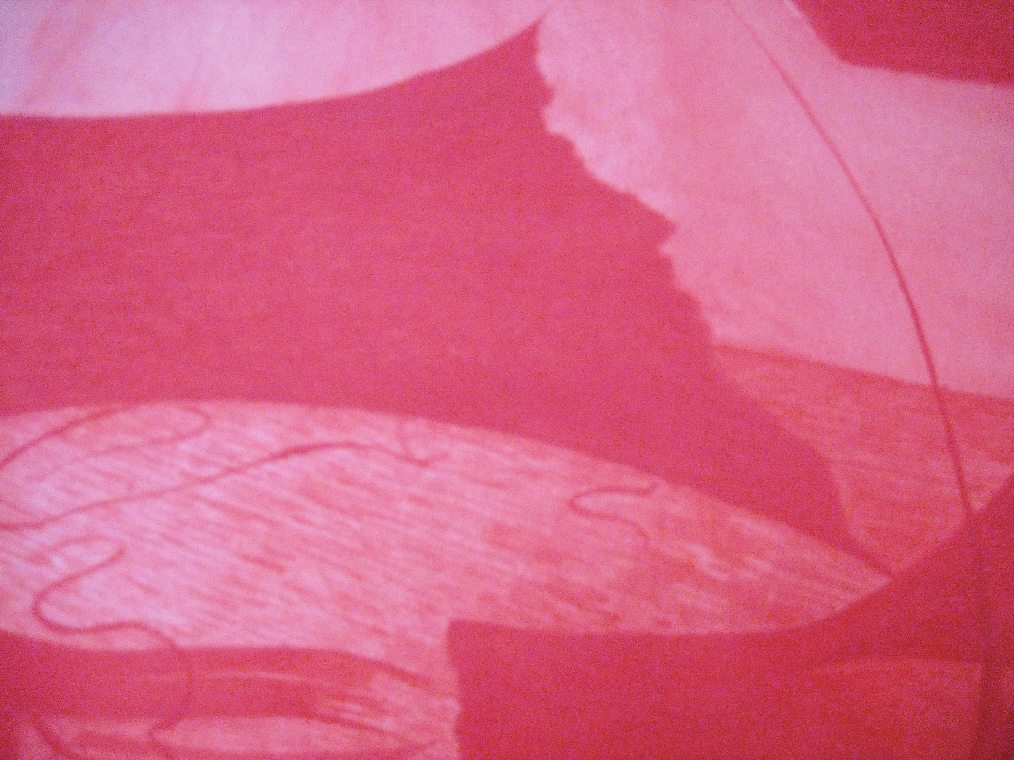 Eileen Lawrence RSA, Nature Red 1 - 6 (detail), 2008-2009