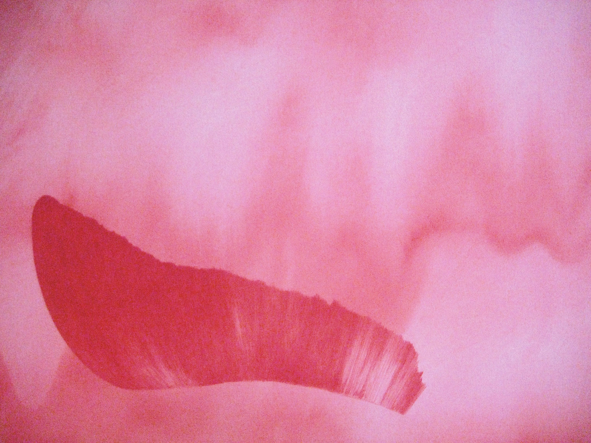 Eileen Lawrence RSA, Nature Red 1 - 6 (detail), 2008-2009