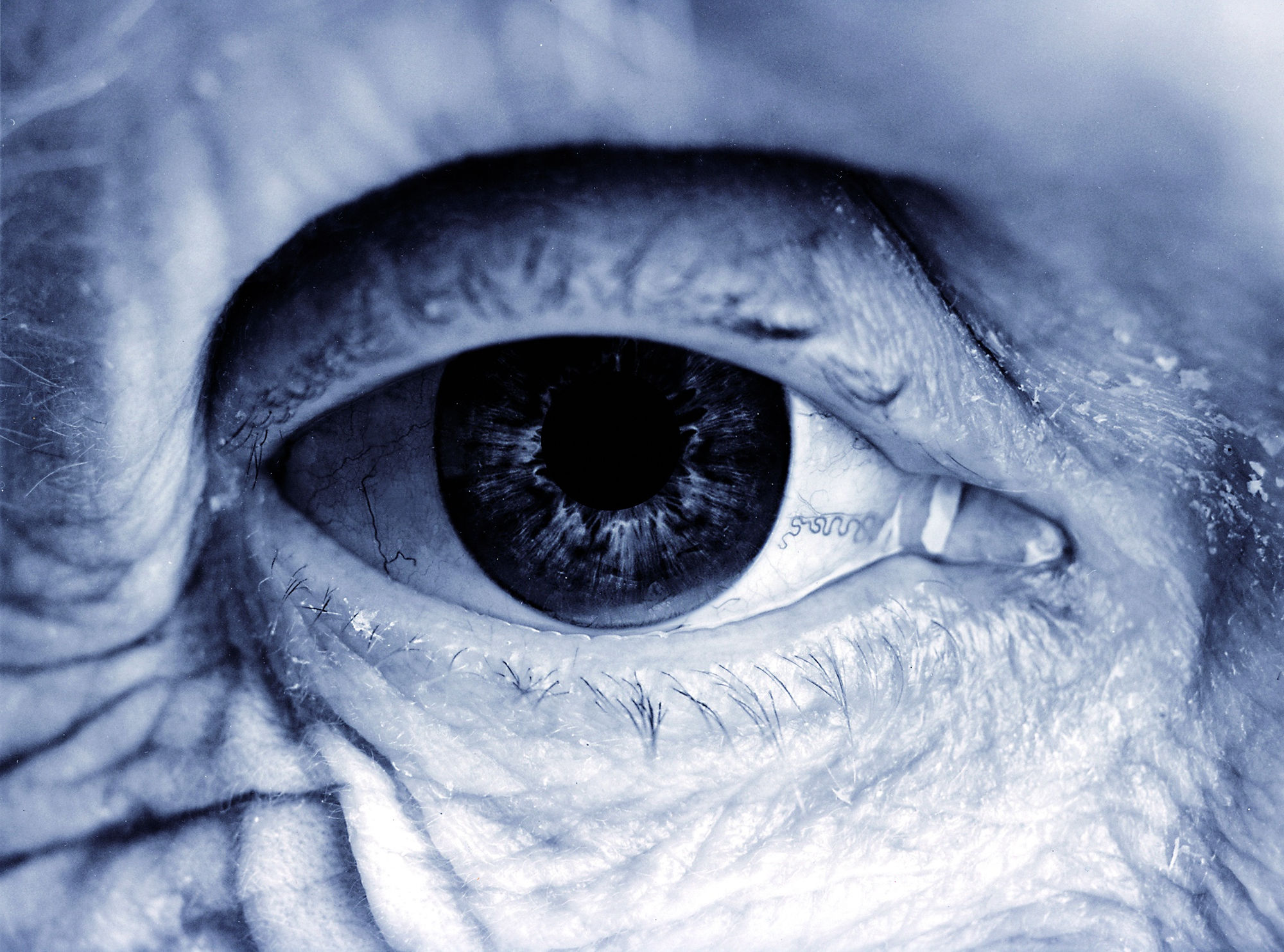 RSA 183rd Annual Exhibition 2009